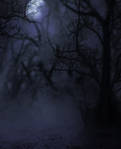 swamp VI BG by StarsColdNight