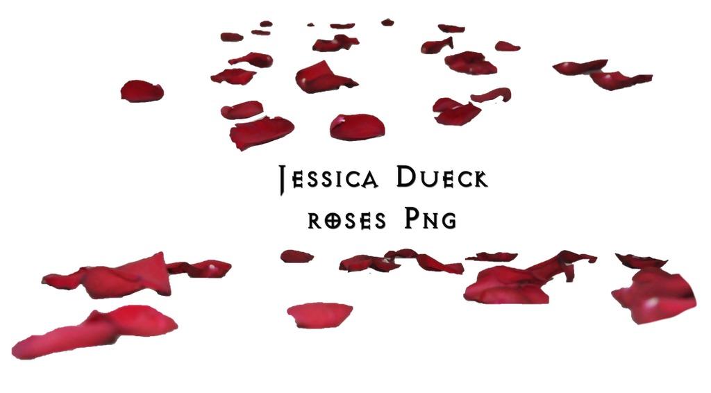Roses petals PNG I by StarsColdNight