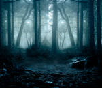 Woods premade BG II by StarsColdNight