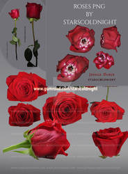 Red roses PNG files