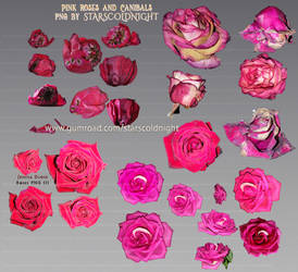 Pink Roses and Canibal flowers PNG files