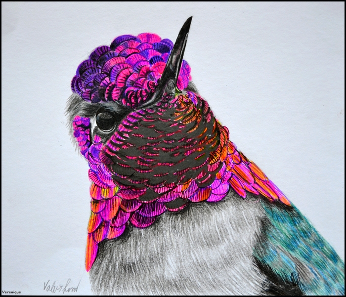 Portrait of hummingbird