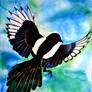 Magpie