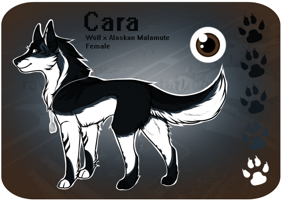 OC| Cara