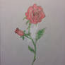 A rose by anyother name