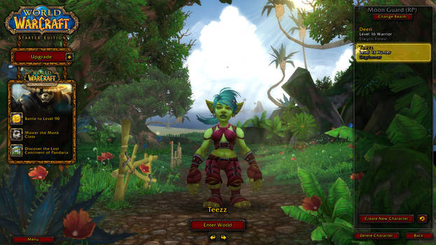 My Horde Character