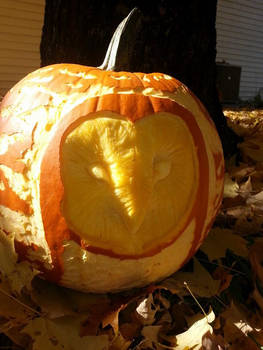 Barn Owl Pumpkin 2014