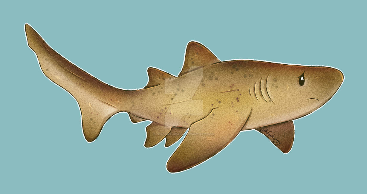 Sharktober Say 1 Sandtiger Shark By Dinosaphira99 On DeviantArt sharktober-say-1-sandtiger-shark-by-dinosaphira99-on-deviantart