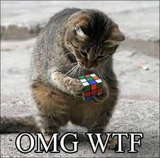 Rubiks Cat