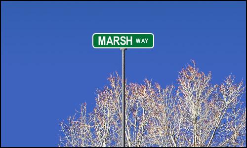 Marsh Way