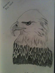 American Eagle