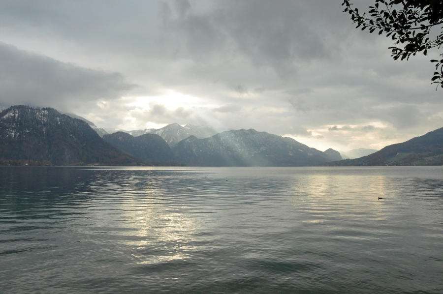 Lake Background