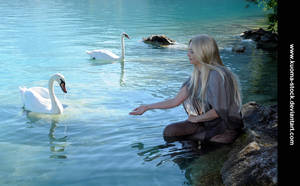 Swan Lake 4