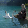 Swan Lake 8