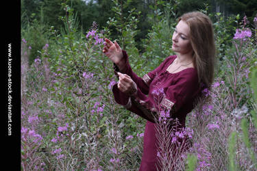 Fireweed 8