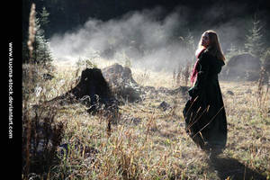 Land of Mists 2