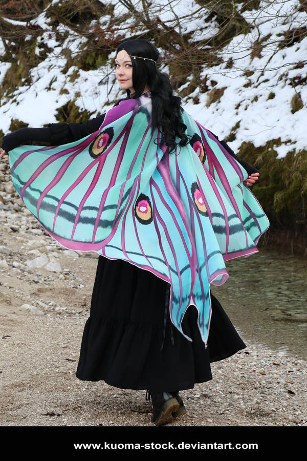 Winter Moth 12 by Kuoma-stock
