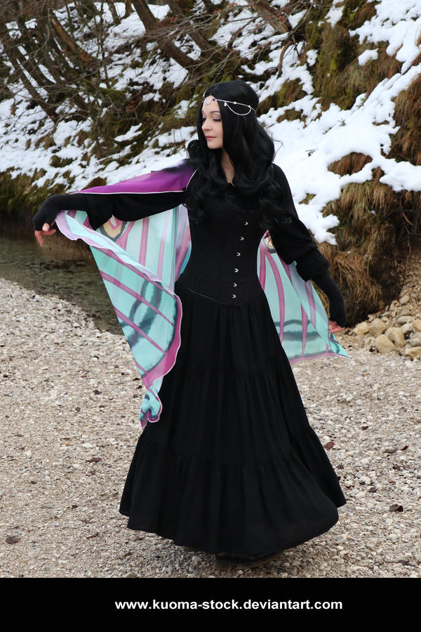 Winter Moth 13 by Kuoma-stock