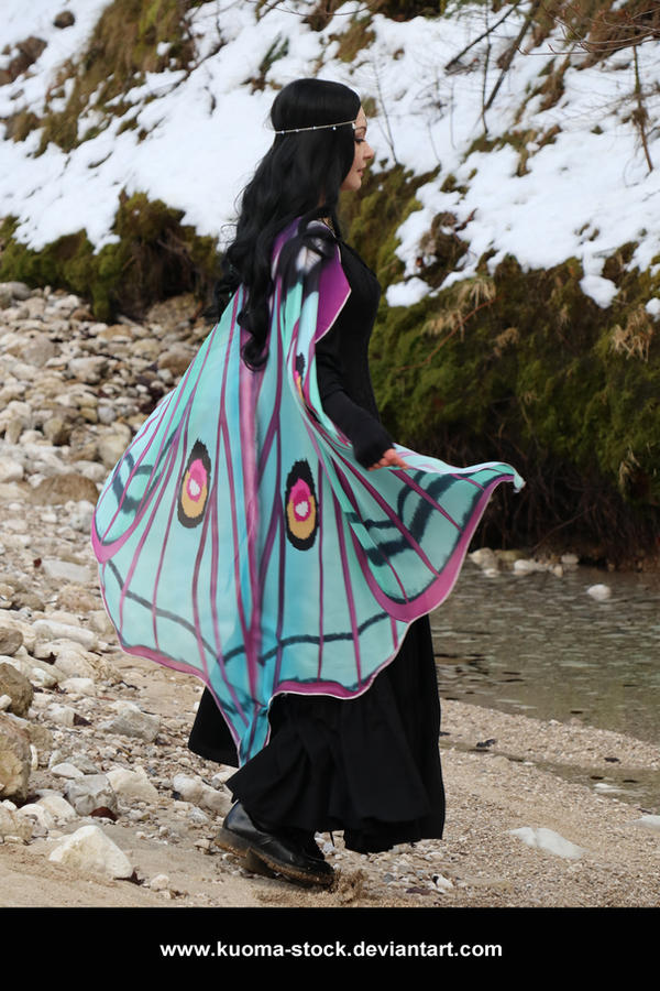 Winter Moth 14 by Kuoma-stock