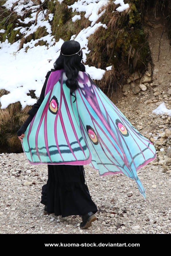 Winter Moth 15 by Kuoma-stock