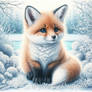 Cute Baby Fox in Snow