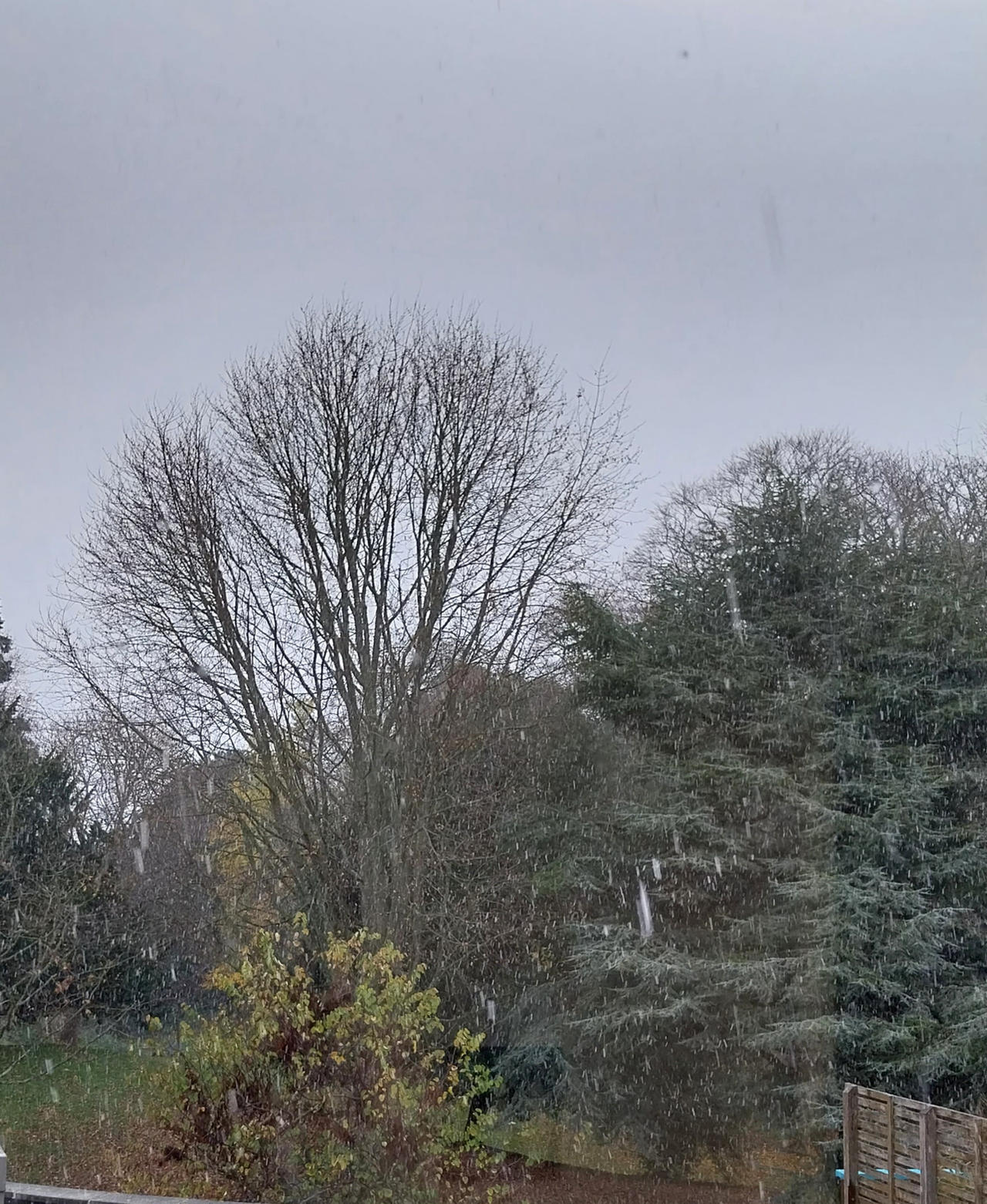 Snowy scene