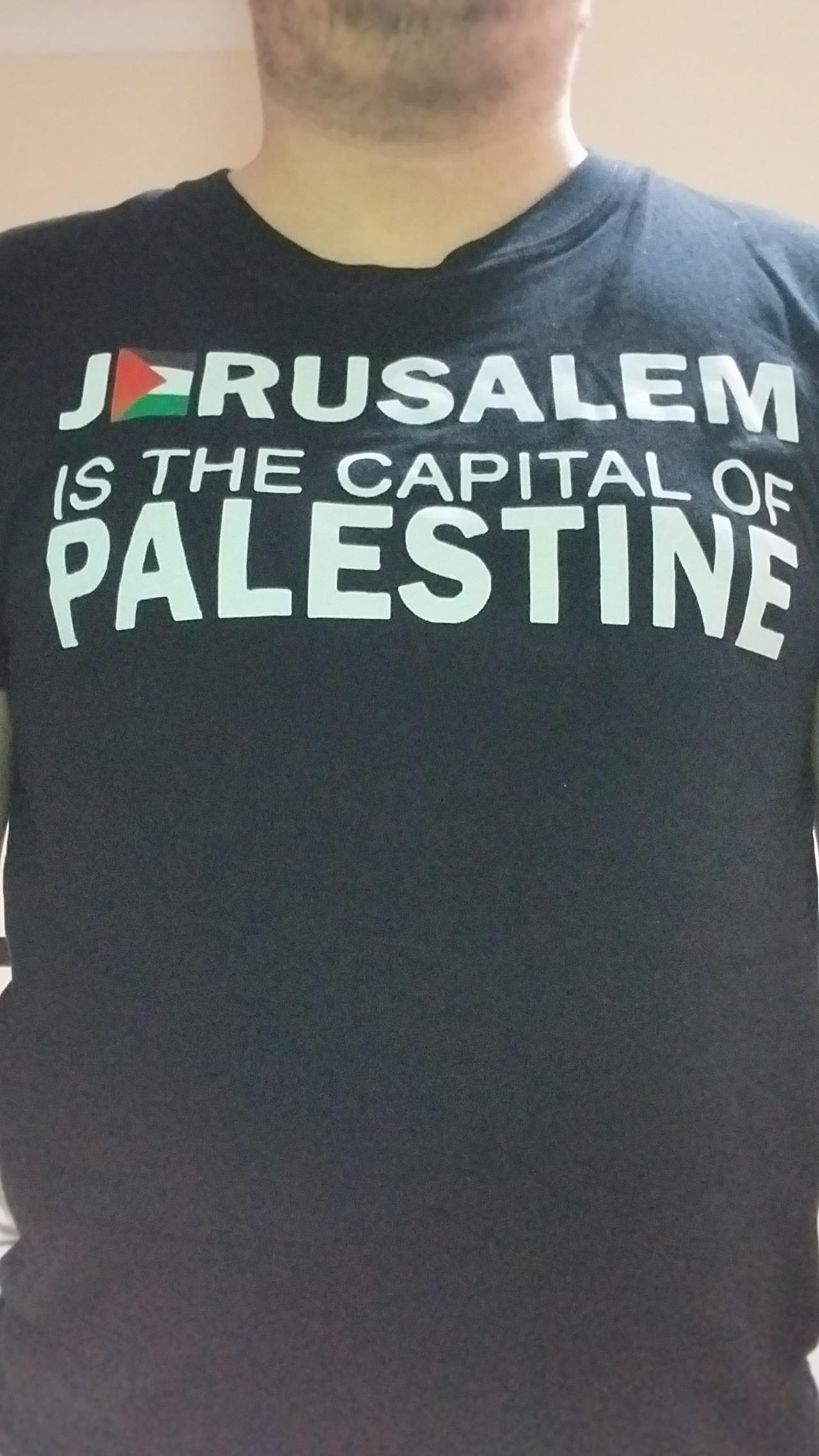 Palestine T-shirt
