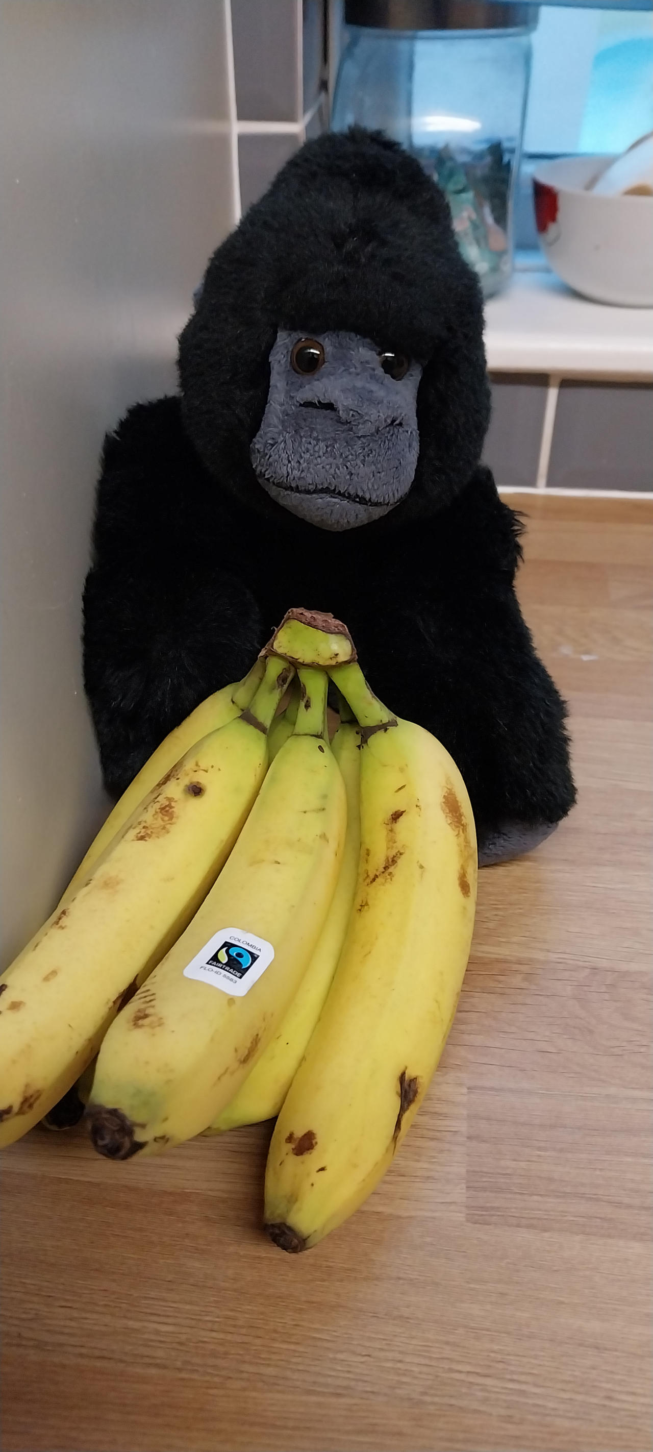 My gorilla trying to steal my bananas
