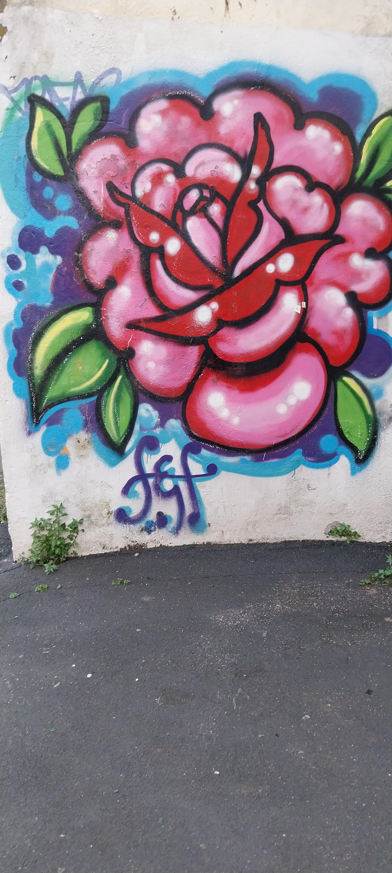 Flower graffiti