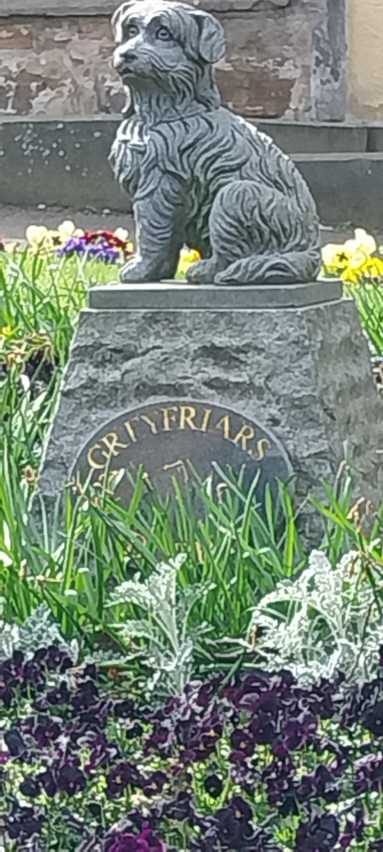Greyfriars bobby