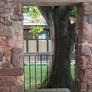 City walls