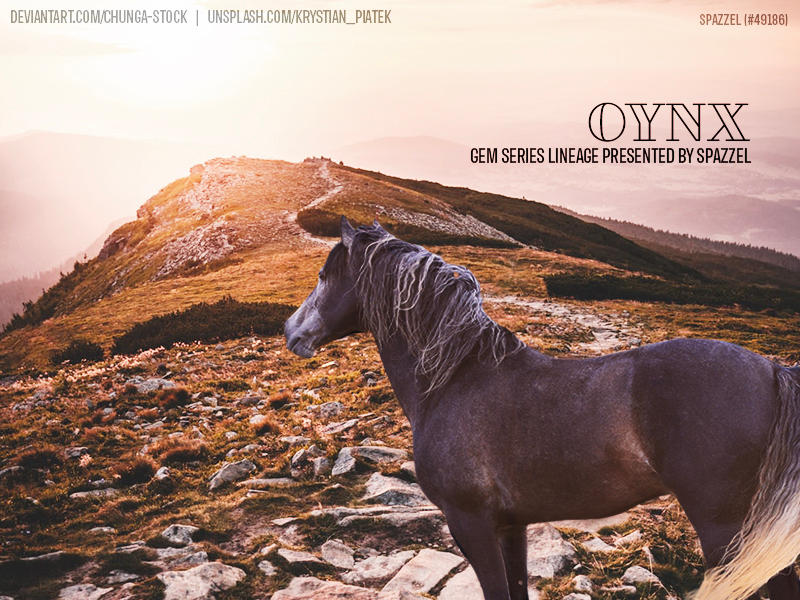 Chunga-Stock User Profile | DeviantArt