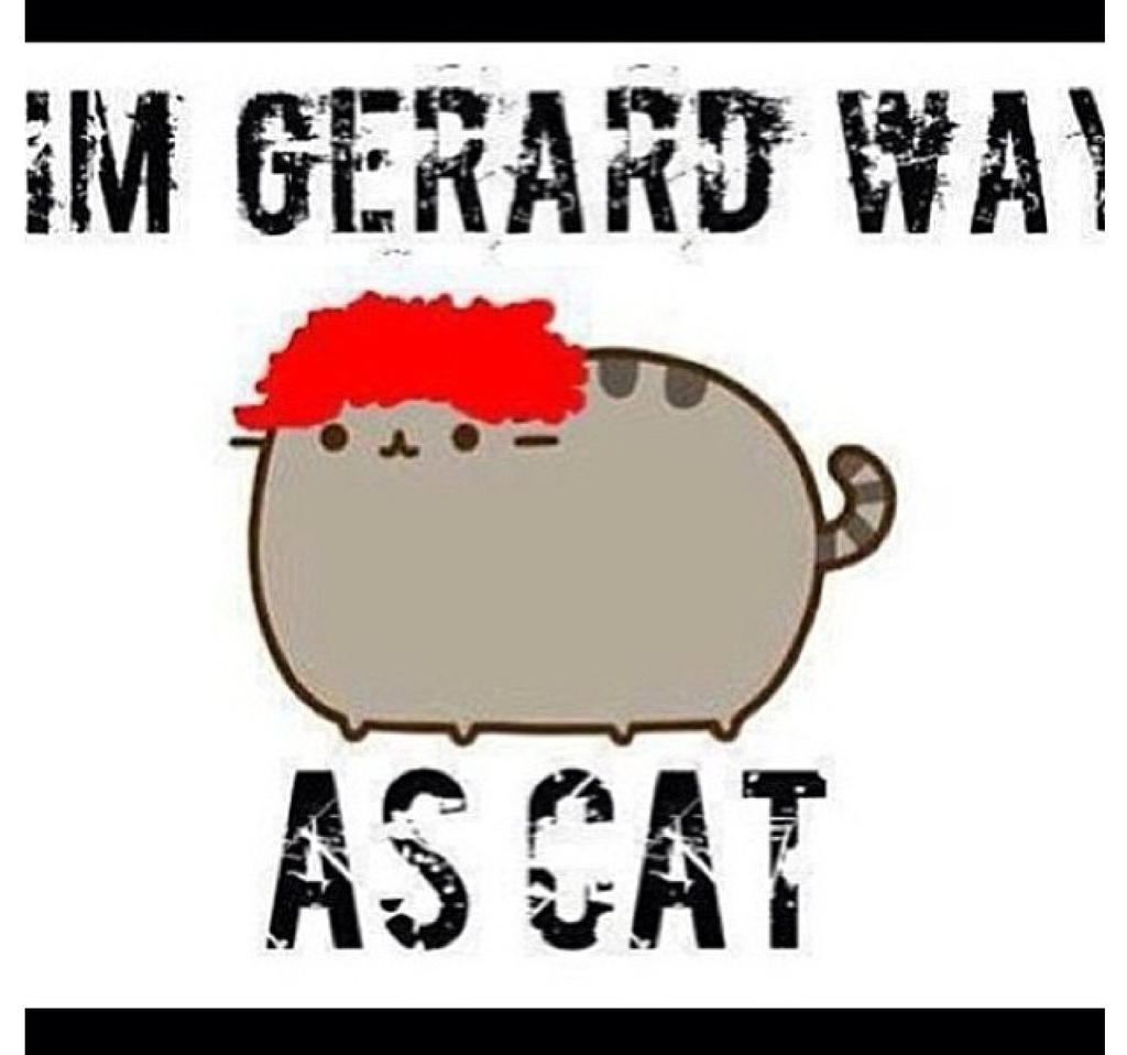 Gerard as a cat