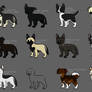 my doge pack chars