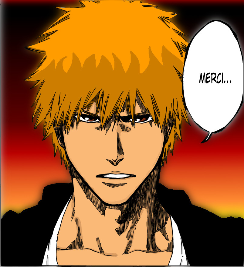 Bleach 537 Ichigo