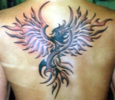 Phoenix tattoo, tribal