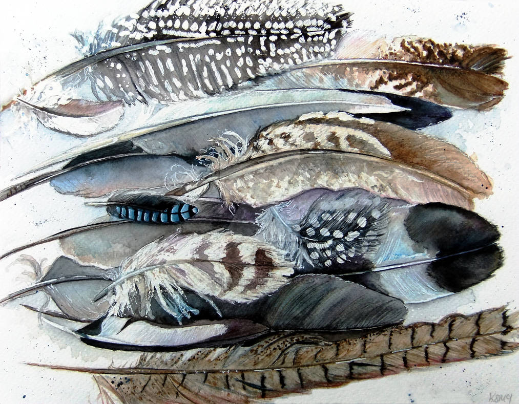 Feathers