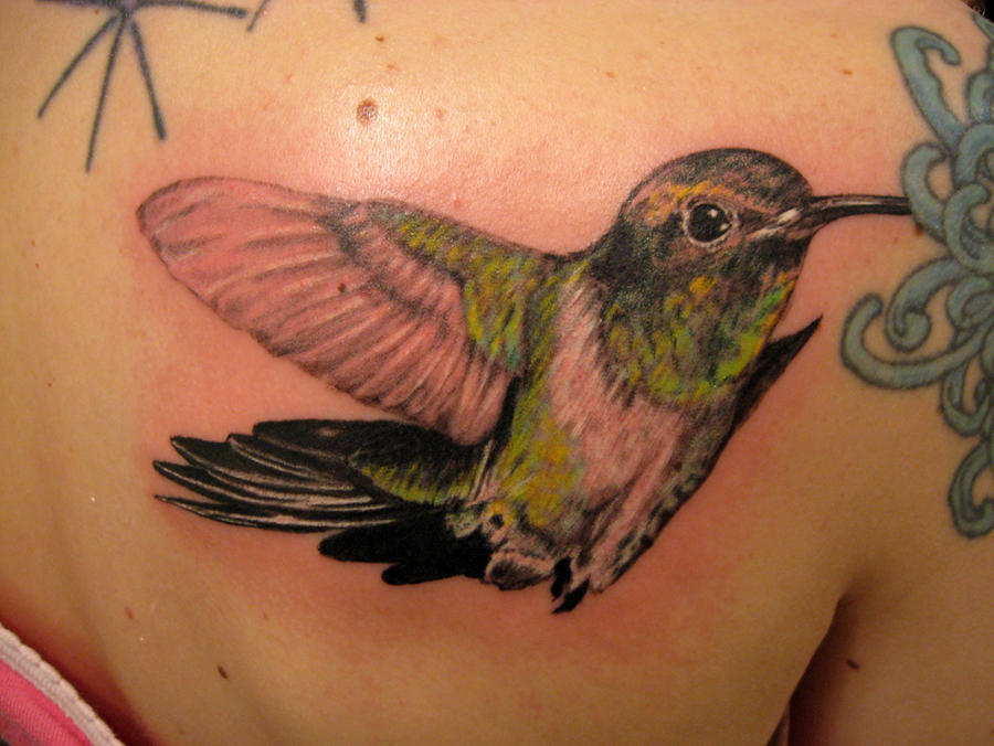 Humming Bird