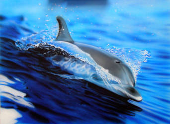 Dolphin