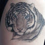 Tiger Portrait Tattoo