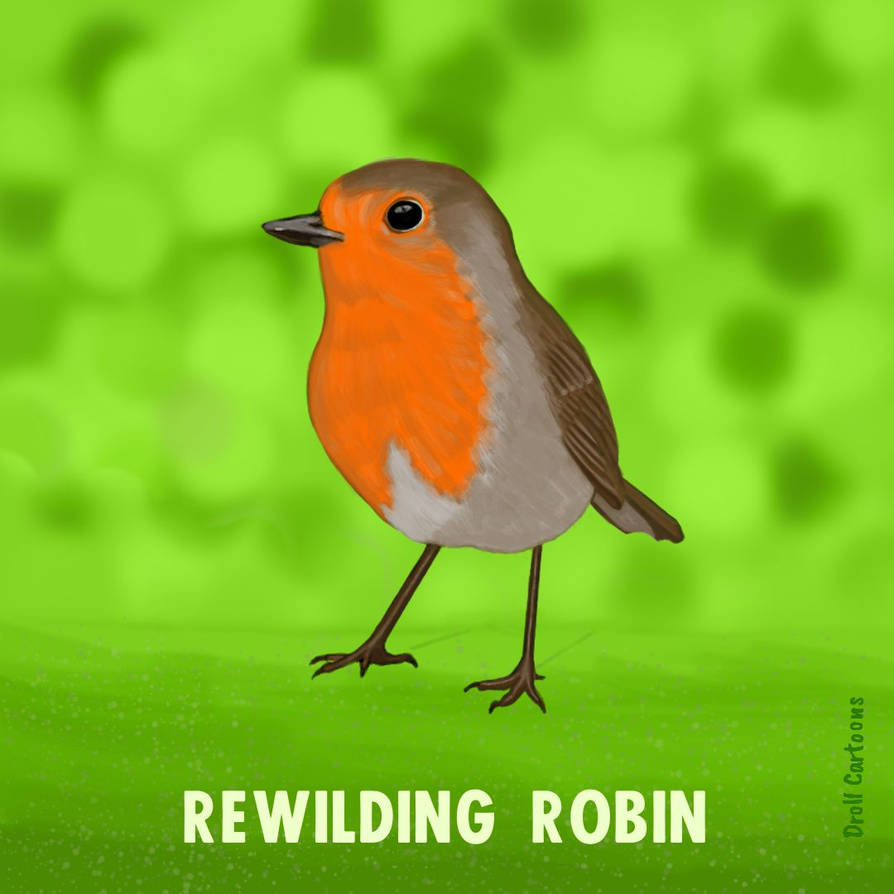 Rewilding Robin