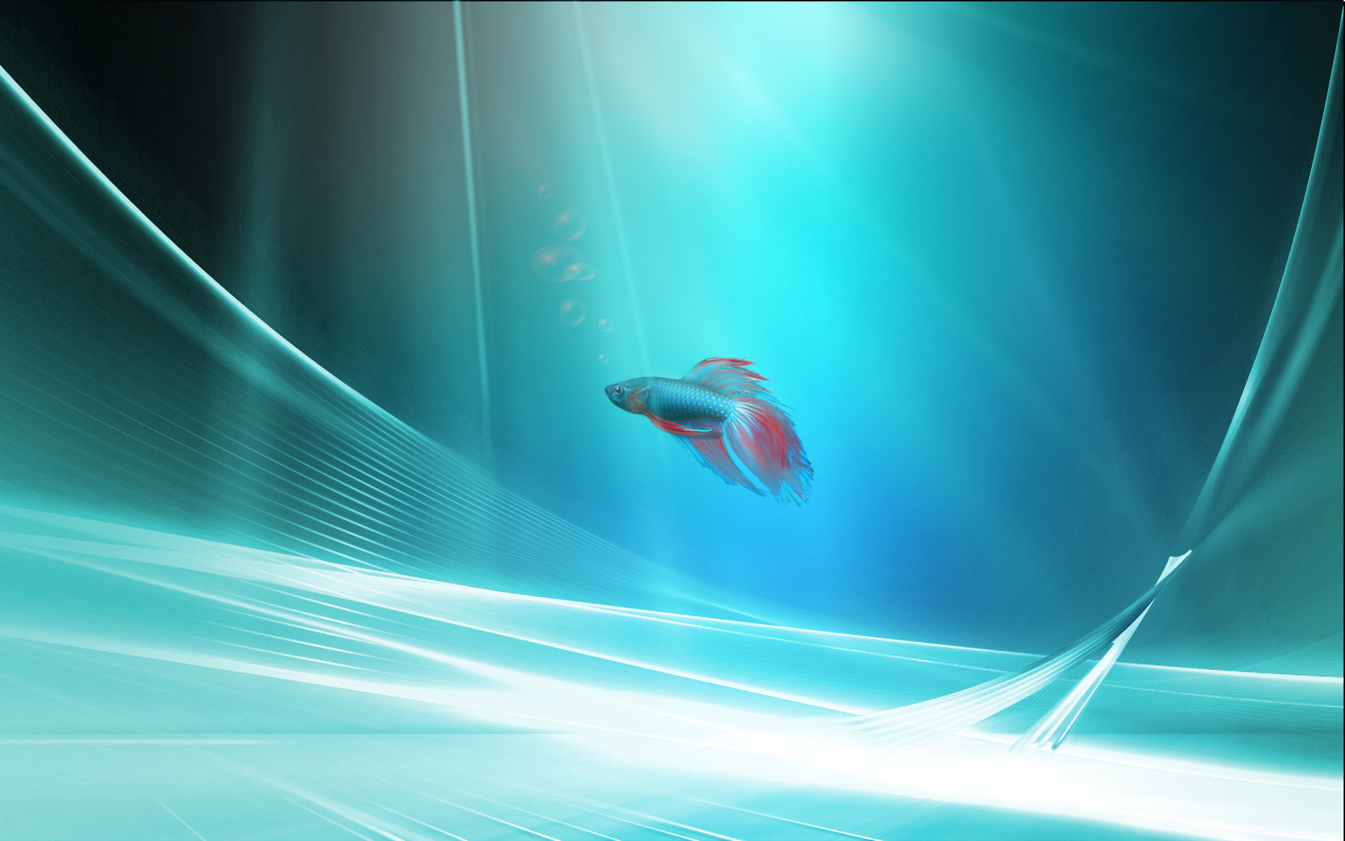 Windows 7 fish2 wallpaper