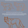 Canine Anatomy and Lineart Tutorial Pt.1