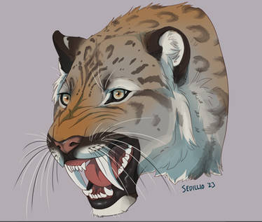 Sabertooth Concept