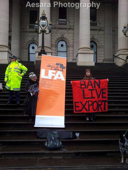 Ban Live Animal Export