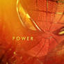 The Amazing Spider-Man