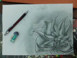 Flower :)