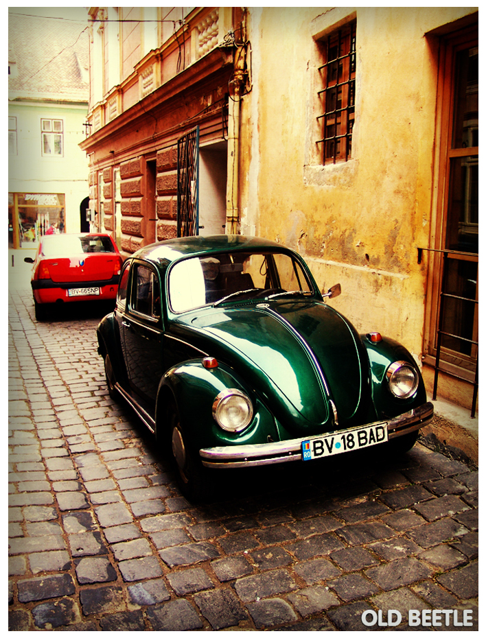 Old Beetle