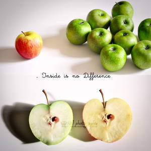 Inside is no difference