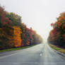 Road to Nowhere, France